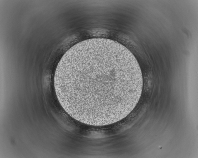 X0000112410263200909251501