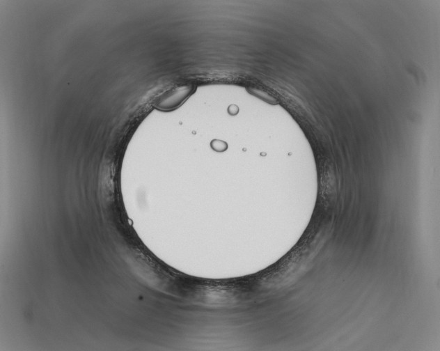 X0000112410264200909251501