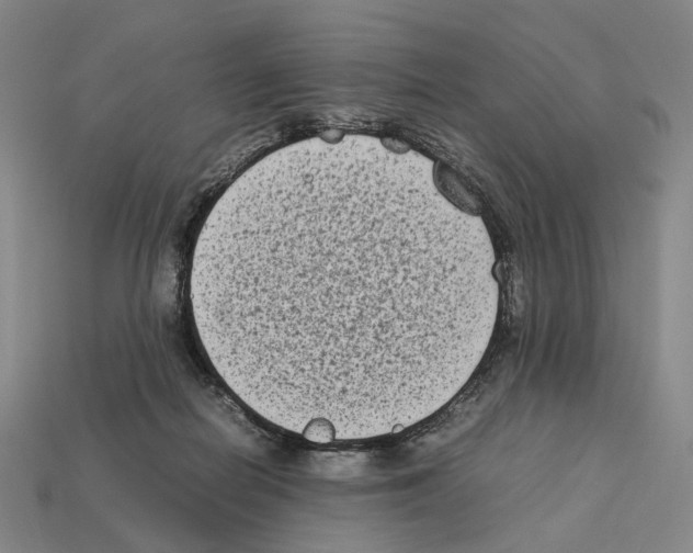 X0000112410266200909251501