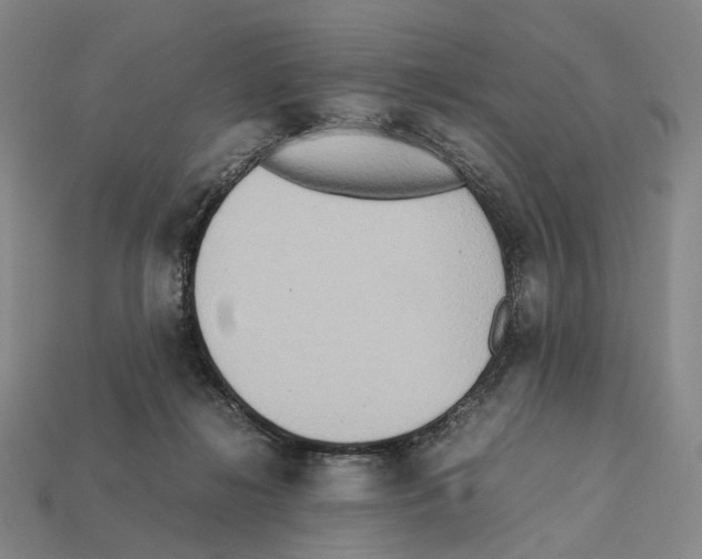 X0000112410268200909251501