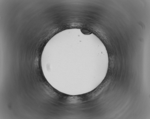 X0000112410269200909251501