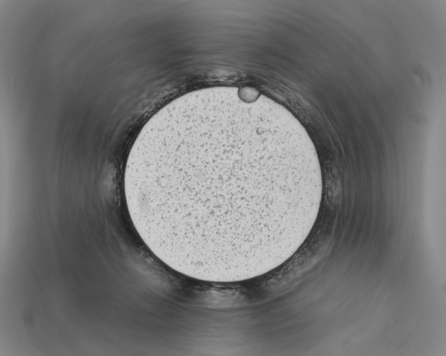 X0000112410270200909251501