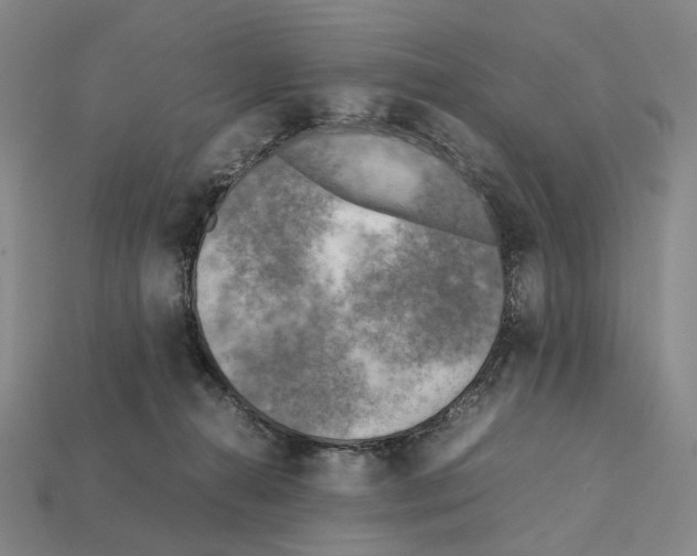 X0000112410272200909251501