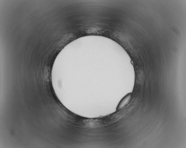 X0000112410273200909251501