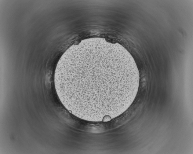 X0000112410275200909251502
