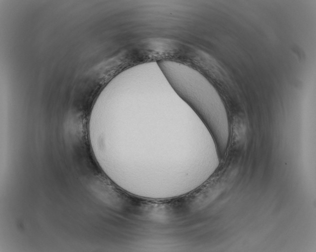 X0000112410276200909251502