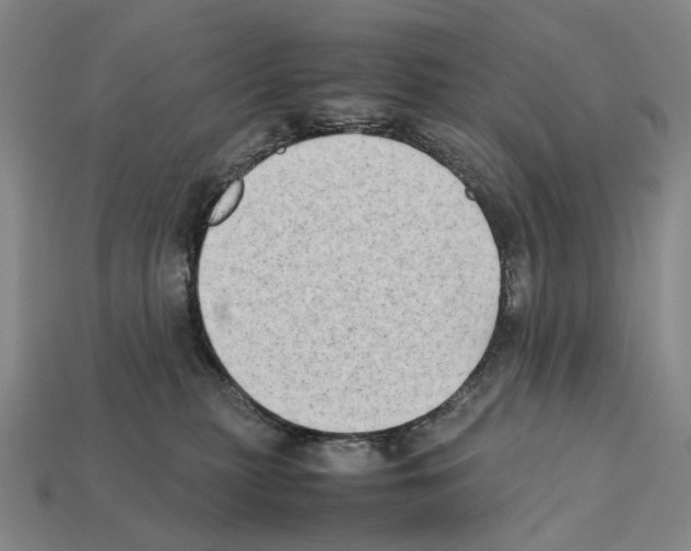X0000112410279200909251502