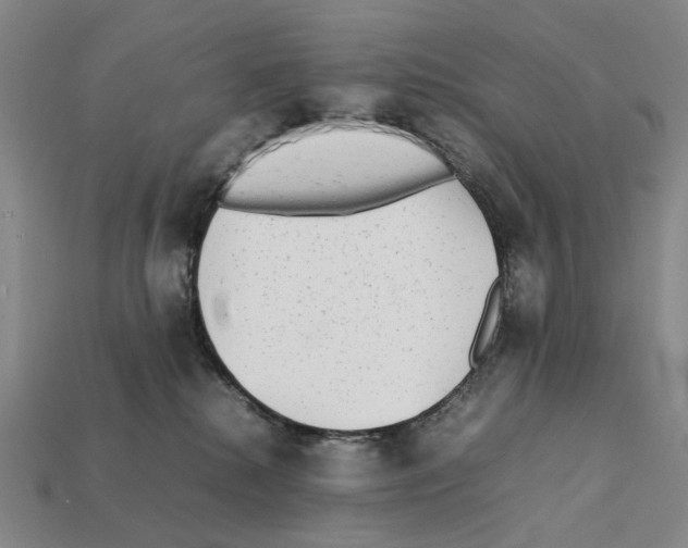 X0000112410280200909251502