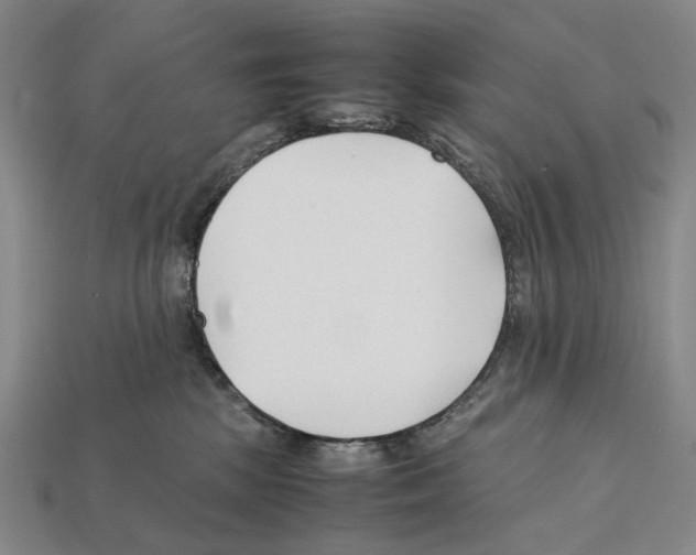 X0000112410281200909251502