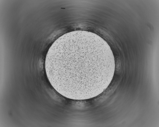 X0000112410282200909251502
