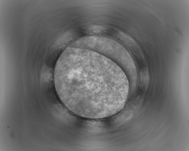 X0000112410284200909251502