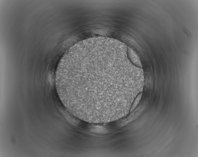 X0000112410285200909251502
