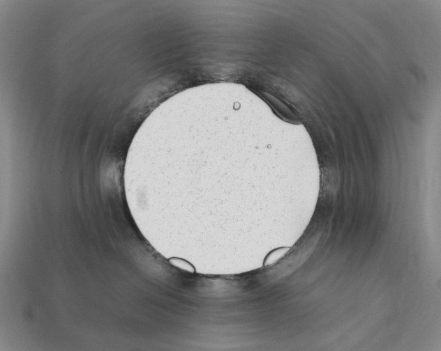 X0000112410286200909251502