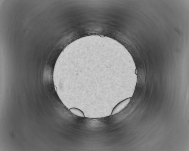 X0000112410287200909251502