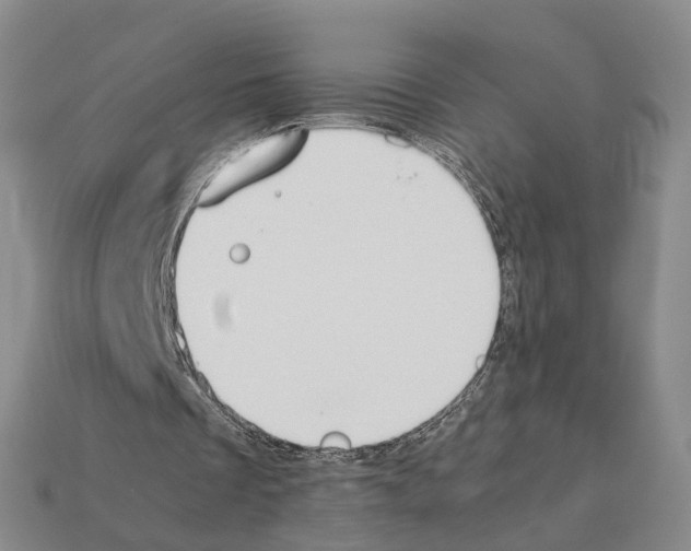 X0000112410289200909251501