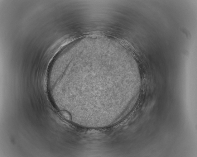 X0000112410290200909251501