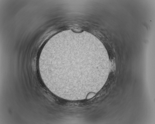 X0000112410291200909251501