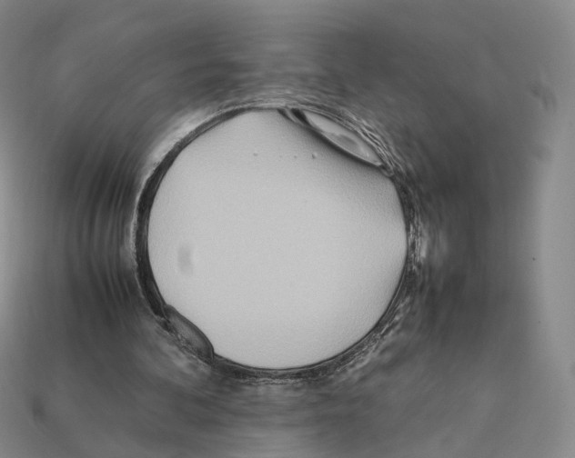 X0000112410292200909251501
