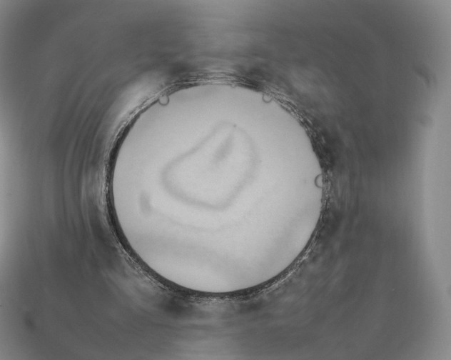 X0000112410293200909251501