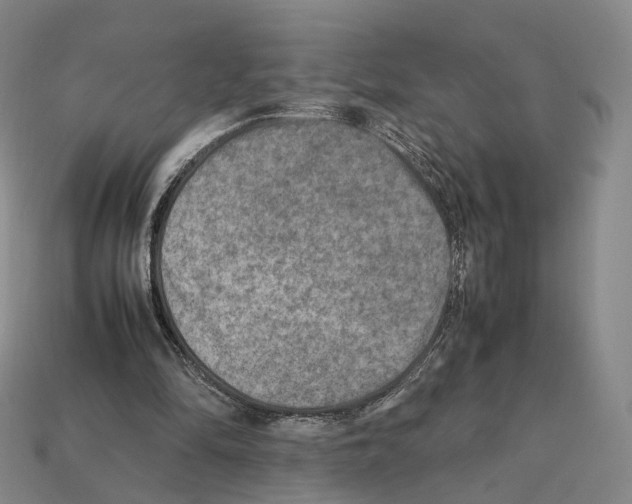 X0000112410294200909251501