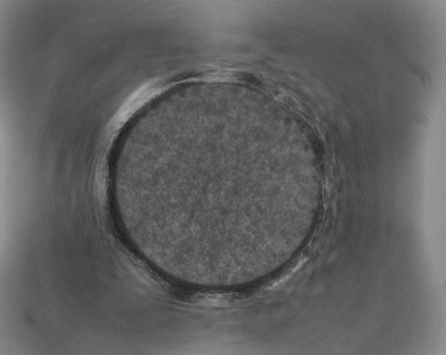 X0000112410295200909251501