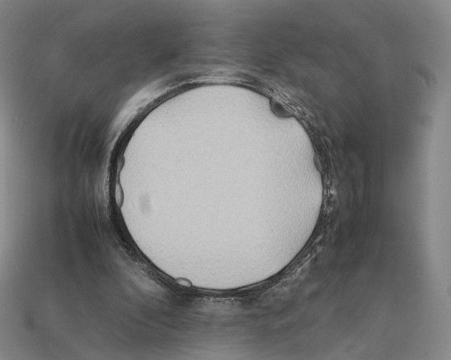X0000112410296200909251501