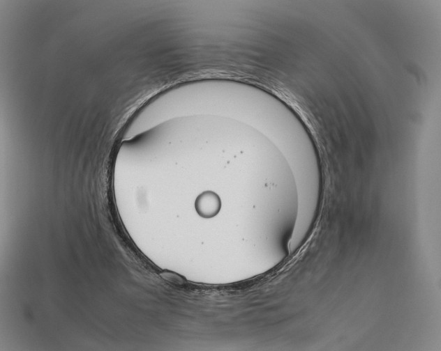 X0000112410297200909251501