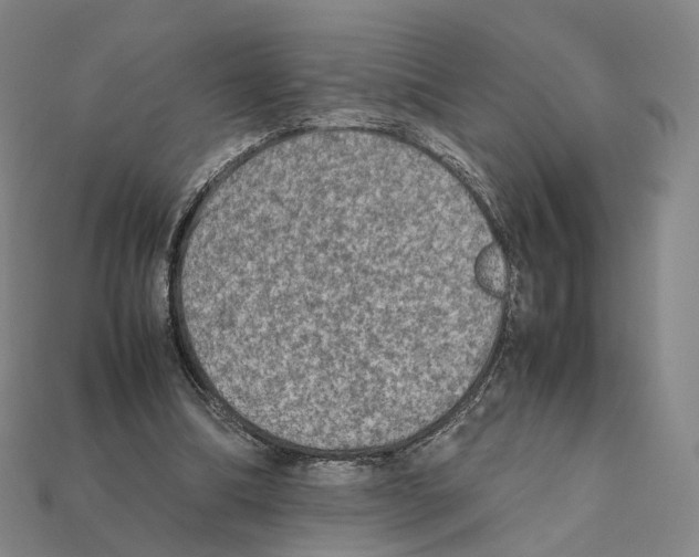 X0000112410298200909251501