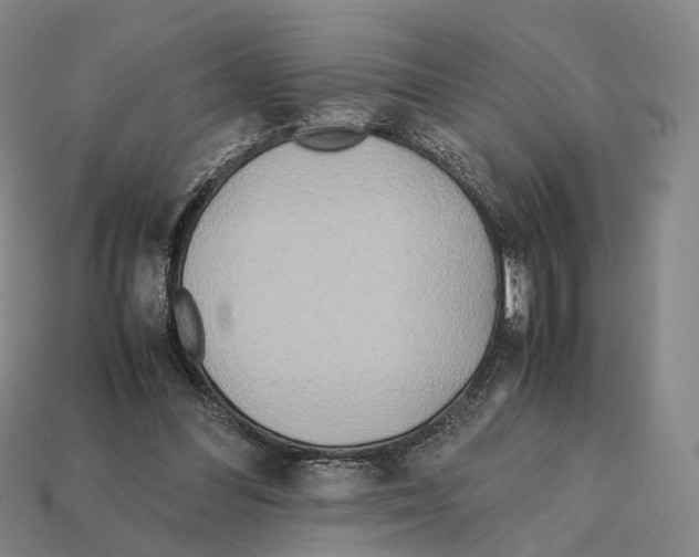 X0000112410300200909251501