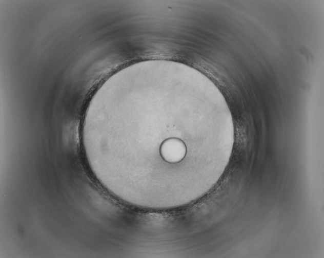 X0000112410302200909251501