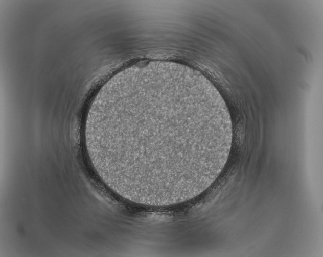 X0000112410303200909251501