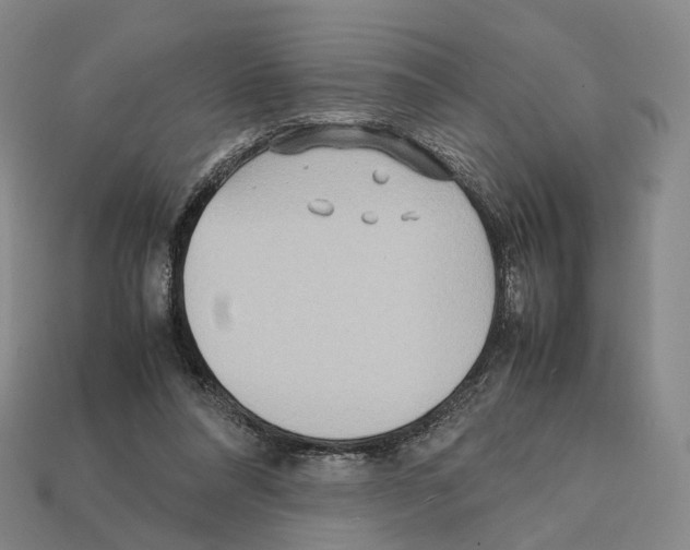 X0000112410304200909251501