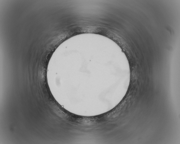 X0000112410305200909251501