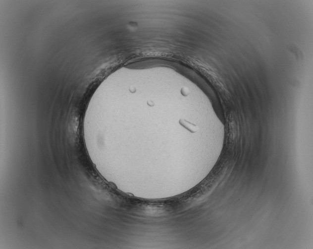 X0000112410308200909251501