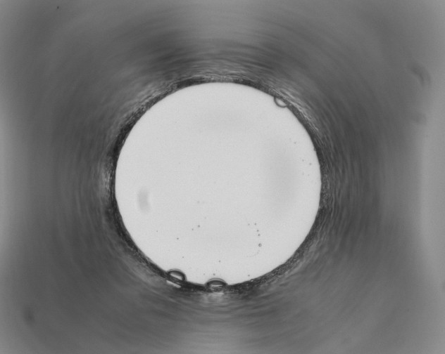 X0000112410309200909251501