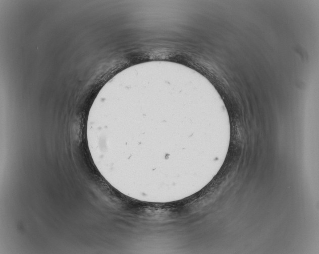 X0000112410311200909251501
