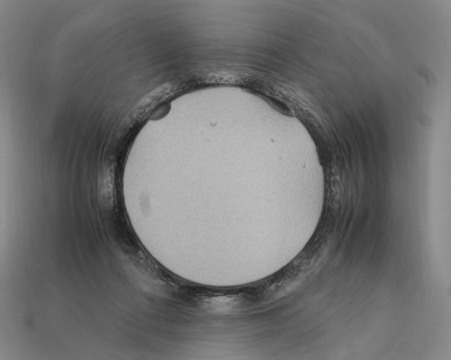 X0000112410312200909251501