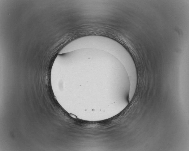 X0000112410313200909251501