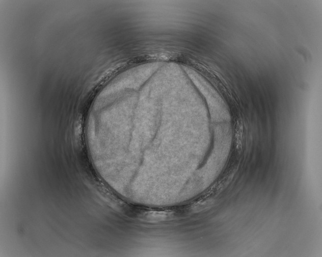 X0000112410314200909251501
