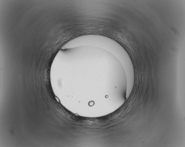 X0000112410317200909251501