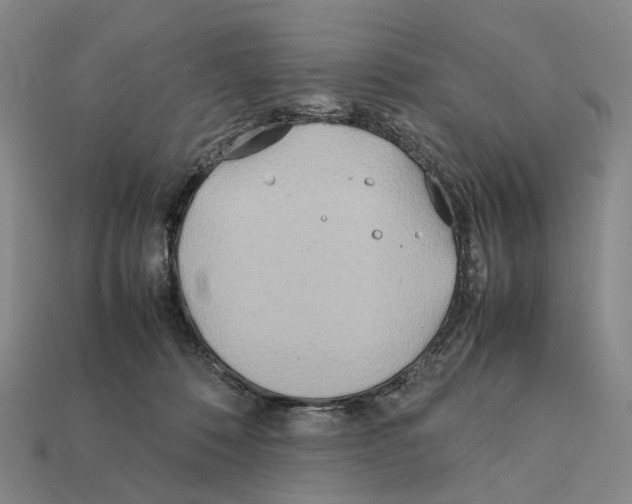 X0000112410320200909251501