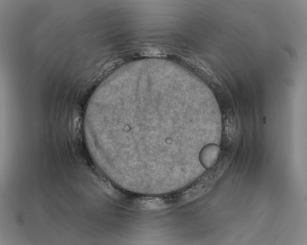 X0000112410322200909251501