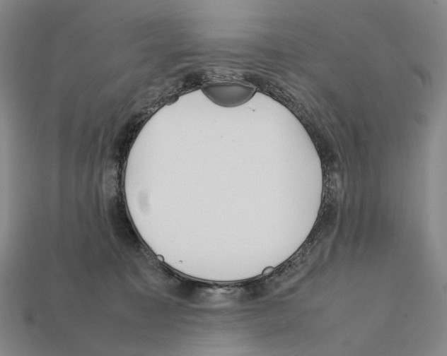 X0000112410323200909251501