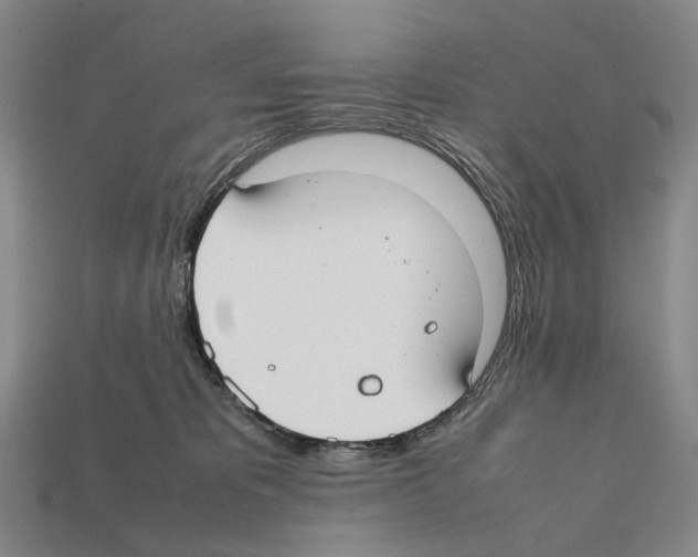 X0000112410325200909251501