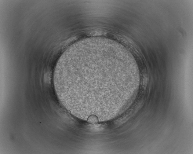 X0000112410326200909251501