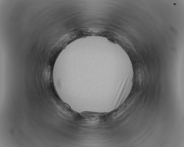 X0000112410328200909251501