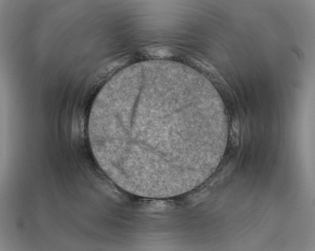 X0000112410330200909251501