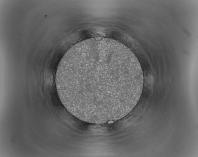 X0000112410331200909251501
