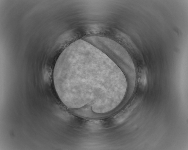 X0000112410332200909251501