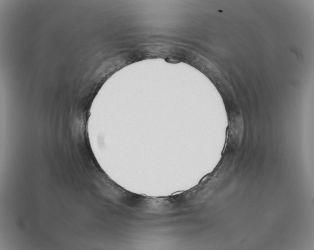 X0000112410333200909251501